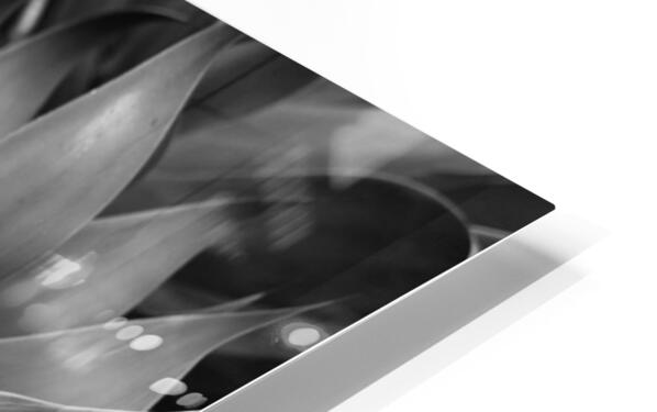 2504118 :: HD Sublimation Metal Print