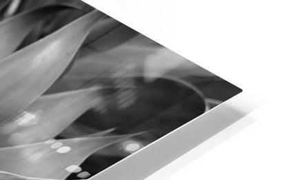 2504118 :: HD Sublimation Metal Print