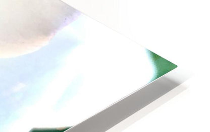 2504124 :: HD Sublimation Metal Print