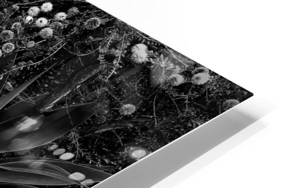 2504125 :: HD Sublimation Metal Print