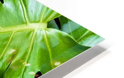 2506821 :: HD Sublimation Metal Print