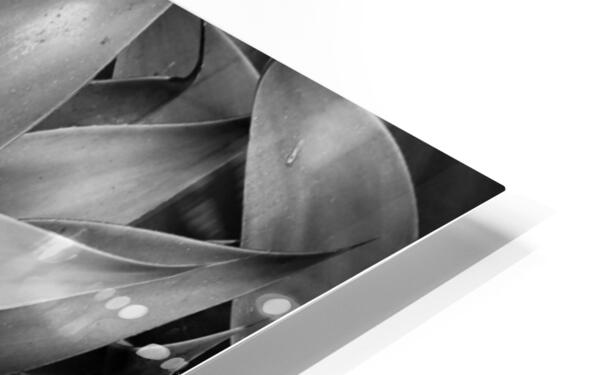 2506832 :: HD Sublimation Metal Print