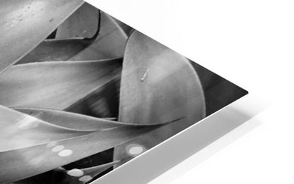 2506832 :: HD Sublimation Metal Print