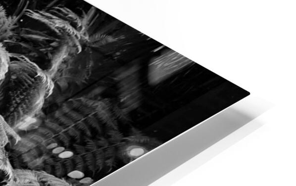 2506837 :: HD Sublimation Metal Print