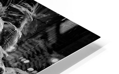 2506837 :: HD Sublimation Metal Print