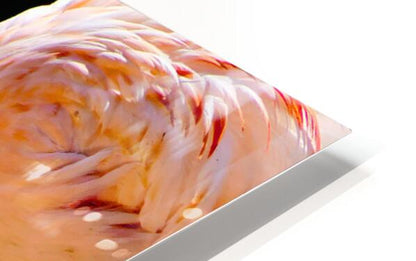 2507224 :: HD Sublimation Metal Print