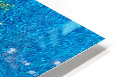2507230 :: HD Sublimation Metal Print