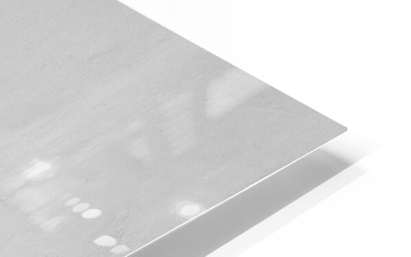 2507305 :: HD Sublimation Metal Print