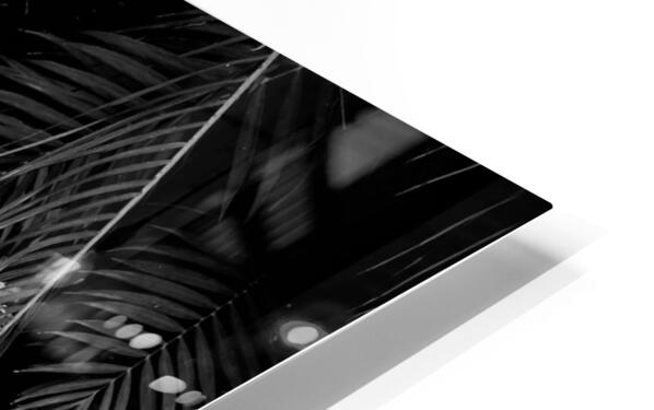 2507308 :: HD Sublimation Metal Print
