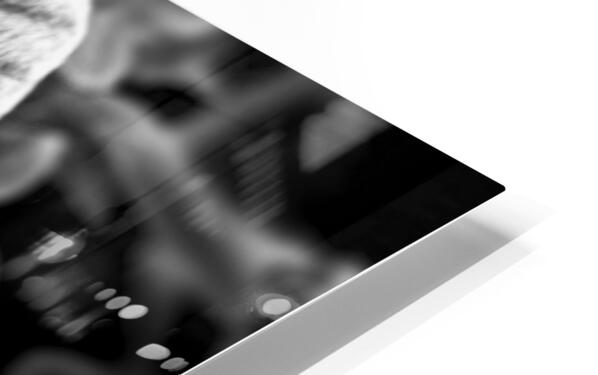 2507310 :: HD Sublimation Metal Print