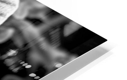 2507310 :: HD Sublimation Metal Print